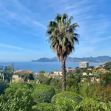 Le Chagall 2 Scls Locations